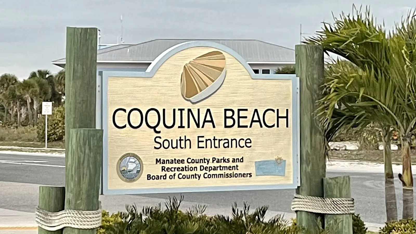 Palm-lined beach access path