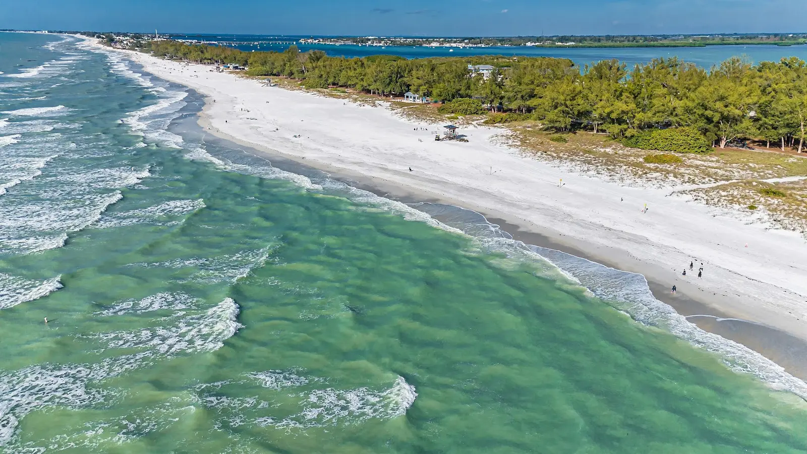 Family swimming in shallow Gulf waters