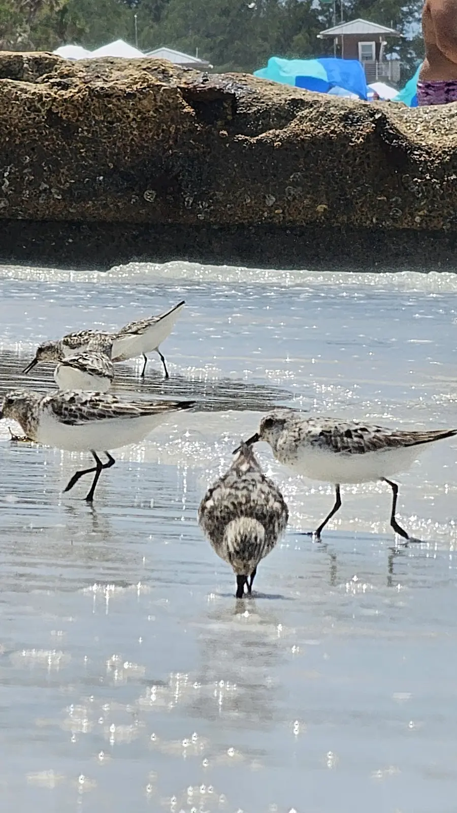 Golden sunset over the beach