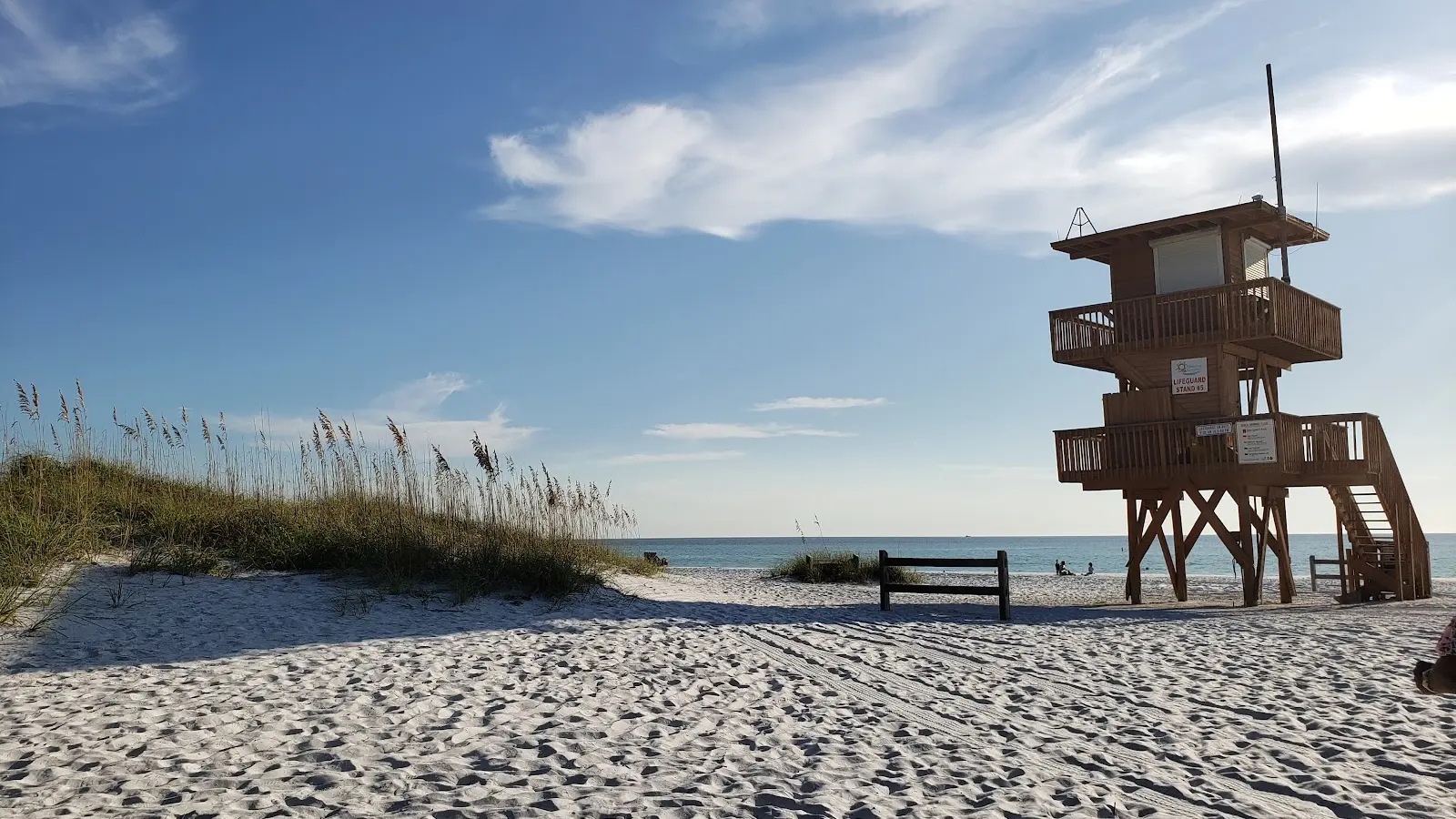 Quiet morning shoreline