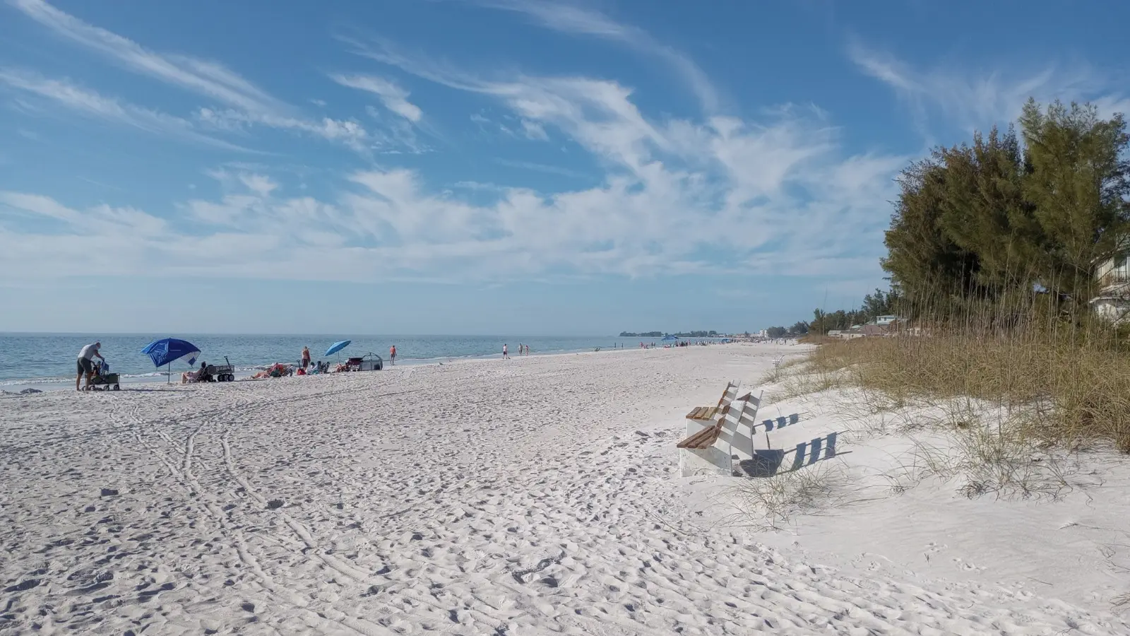安娜玛丽亚岛海滩| 来自萨拉索塔的完整指南