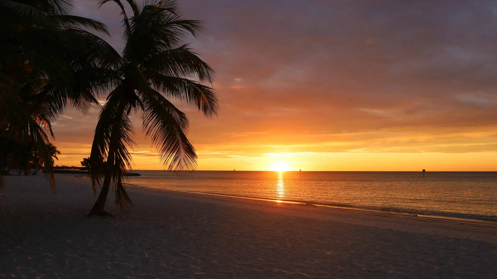 Families with children playing on the sand